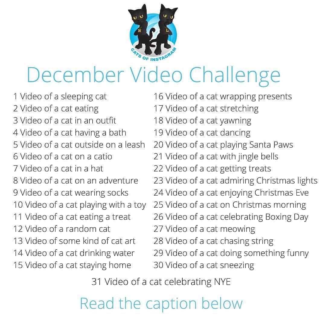 The Cats Of Instagramのインスタグラム：「Our December Video Challenge is still happening! Today we are looking for video’s of cats on adventures! Tag #COIVideoChallenge to enter your videos each day this month! • @catsofinstagram Welcome to the #COIVideoChallenge!   Starting today and for each day in December we have a video idea for our challenge - please post old or new videos that fit into each challenge as you interpret them. Be creative, be weird and have fun.   •These challenges are open to your interpretation so please have fun with them! There is no wrong way to participate  •Tag #COIVideoChallenge and @catsofinstagram so we can share your pawsome videos (unfortunately we can’t see your videos if you’re a private account)  •Post as often as you like ❤️ •There are no rules •Share this post so your furriends can join in  If you have any questions, please ask them in the comments below 👇🏼 and I’ll do my best to answer them」