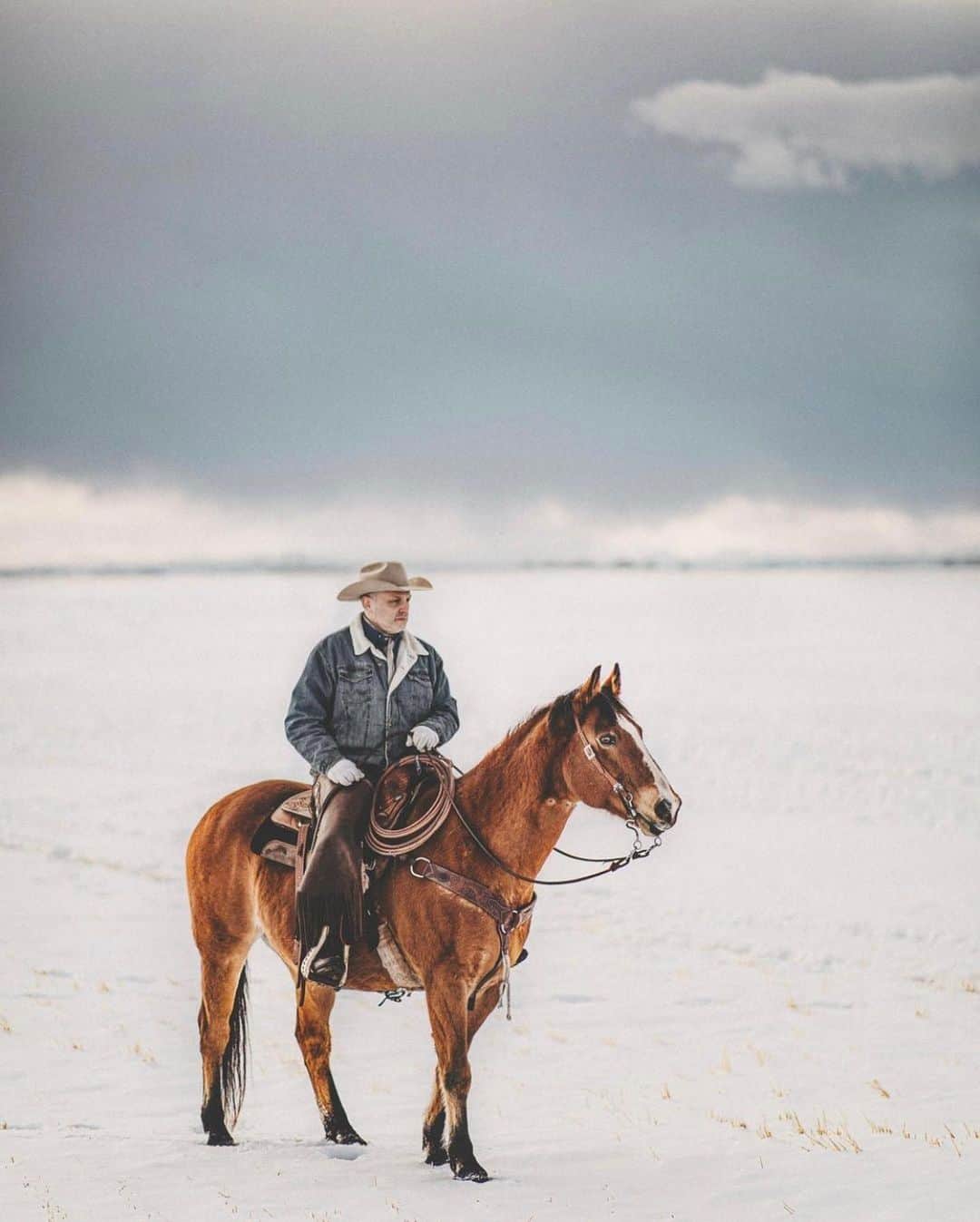 FOLKさんのインスタグラム写真 - (FOLKInstagram)「Snow day dreams for today’s favorites. 1.) @calin.charles 2.) @zackkcore 3.) @prairierosephoto 4.) @shotsby_mark 5.) @monascherie 6.) @lightpoem」12月9日 6時50分 - folkmagazine