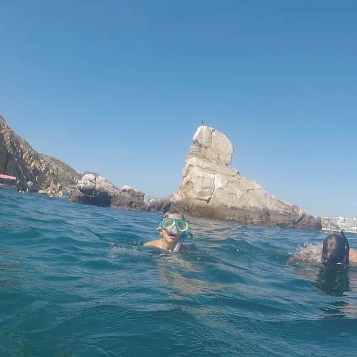 ビル・ランシックのインスタグラム：「Marine Biology Class!」