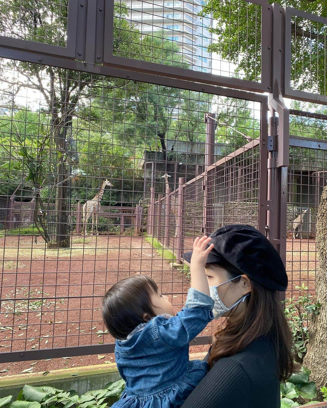 大浦育子さんのインスタグラム写真 - (大浦育子Instagram)「振り返り投稿。記録用に...！ 1才ちょうどで動物園デビュー👏 キリンさんよりママの帽子に興味津々😂もう少し大きくなったらまた行きたいなぁ❣️ 約2ヶ月前なのに娘が小さく見える、、、  #上野動物園#東京#動物園デビュー #ベビー育児記録#愛娘 #赤ちゃん#育児#子連れ #新米ママ#娘#女の子ママ #ママ#令和ベイビー#子育て #1歳#第一子#baby#mama」12月9日 7時07分 - ikuko_oura