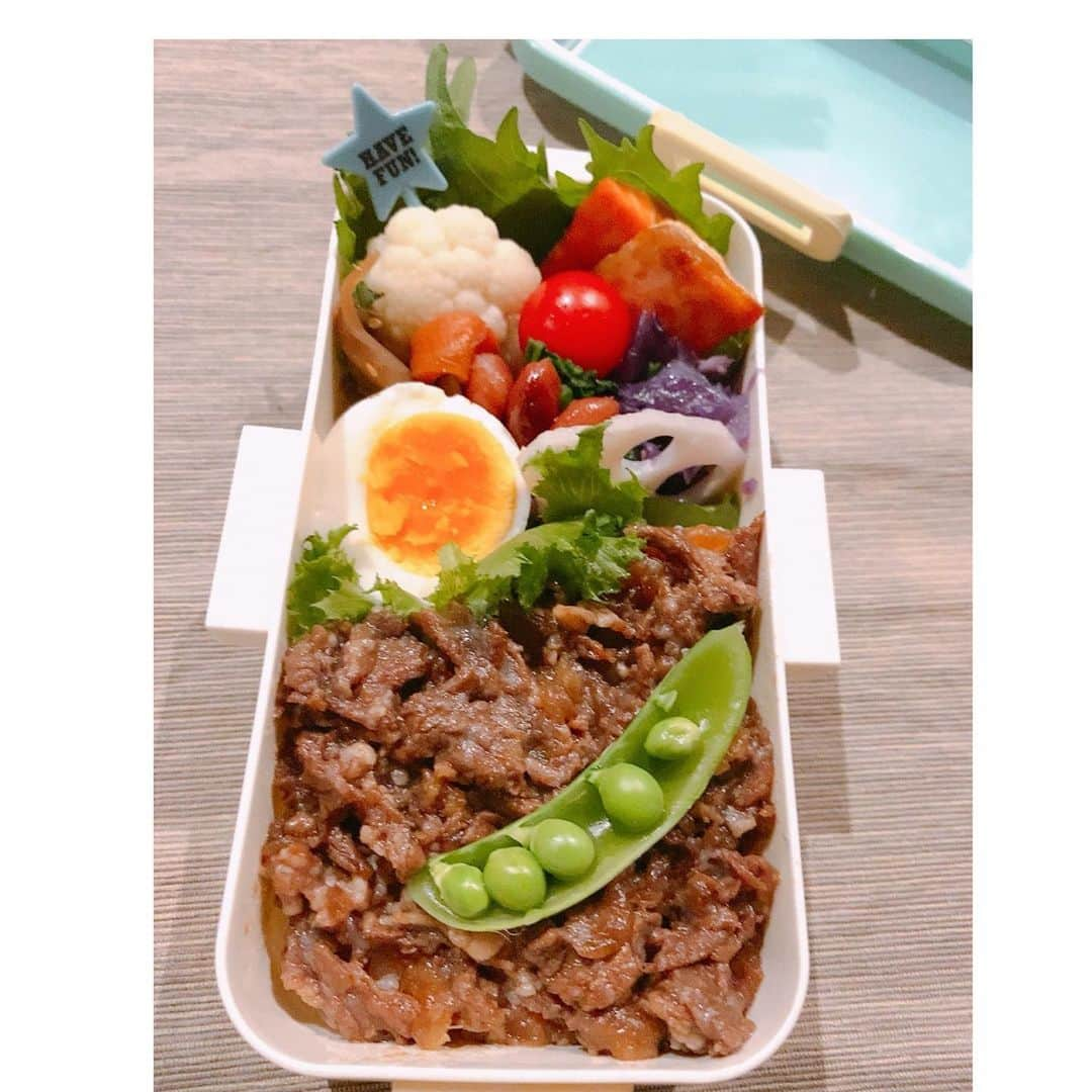 飯田圭織さんのインスタグラム写真 - (飯田圭織Instagram)「おはようございます☀今日の空は曇っていて寒く感じます、、☁️ 今日の息子弁当は🍱 牛丼と鮭のお弁当🍙 たくさん食べてエネルギーつけてね✨ 今日は水曜日。折り返し。 1日楽しんで頑張りましょう😊✨ #おはようございます #曇り空  #お弁当 #お弁当記録 #息子弁当  #オベンタグラム #牛丼 #鮭  #今日もがんばろう」12月9日 7時16分 - iidakaori.official