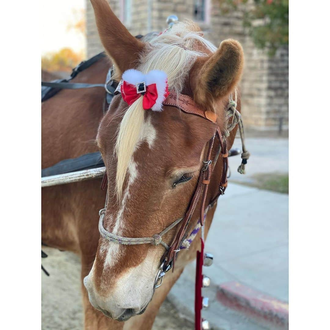 ヨランダ・ハディッドのインスタグラム：「❤️This Texas girl is too cute...... #ChristmasSpirit」