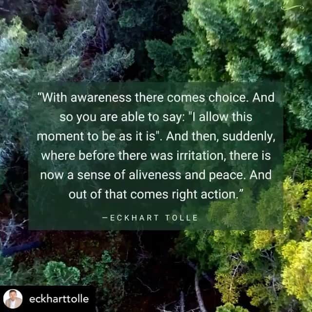 ジェニファー・グレイのインスタグラム：「“i allow this moment to be as it is” #eckharttollequotes #thenow」