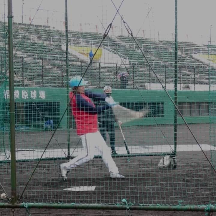クーニンズのインスタグラム