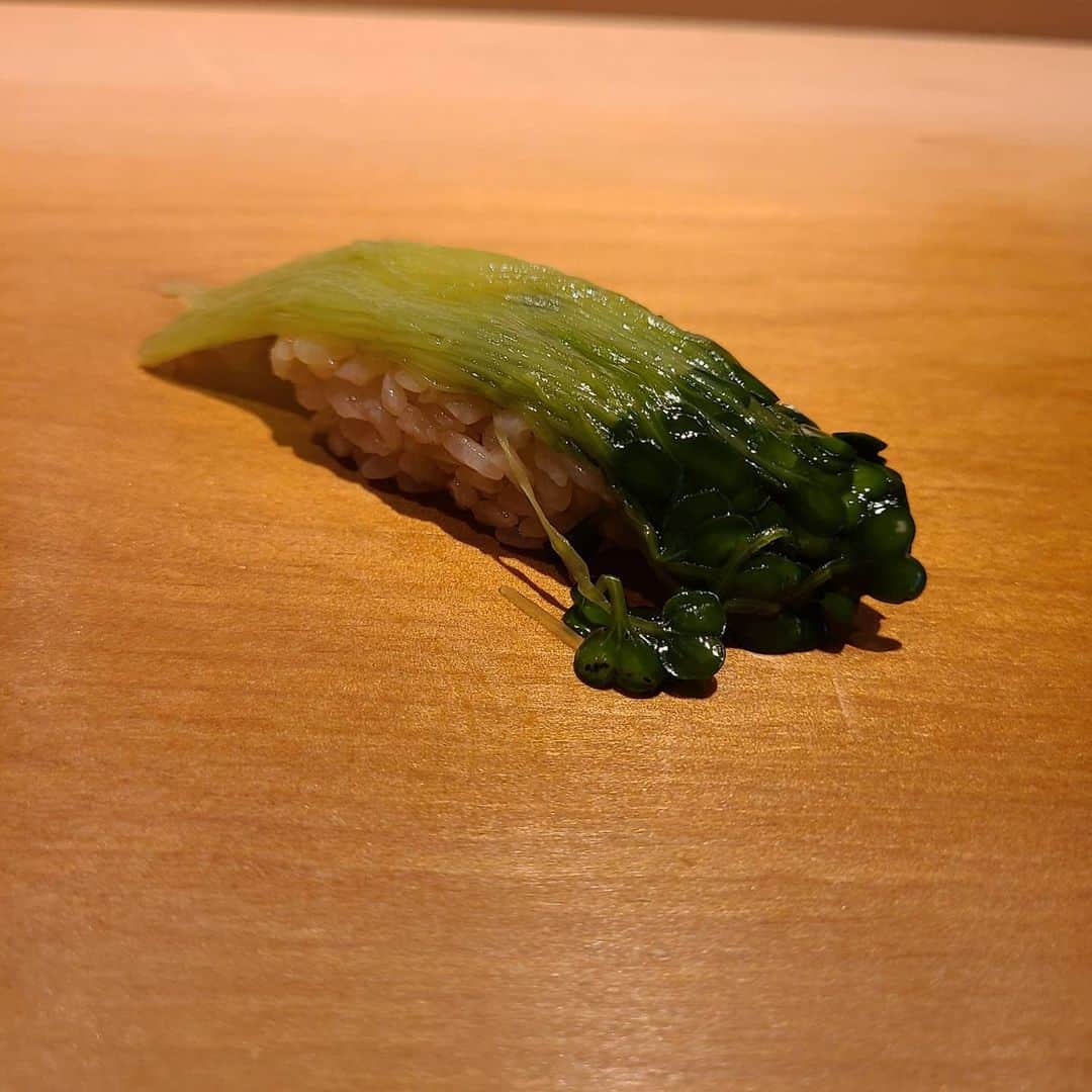 今堀恵理さんのインスタグラム写真 - (今堀恵理Instagram)「博多で美味しい寿司のランチを食べに『すし幸徳』さんに行きました✨ カウンター7席のみのお店です ランチ12100円(税サ込)  全国からの選りすぐりの魚介を使われてます。私は神戸から来たので地元中心の素材を出して欲しいとリクエストして、九州中心のお魚を出して頂きました🙌天然の車海老が素晴らしかった💓  すっきりとした鮨です  感じの良い大将で１人で行きましたが居心地も良かったです🎶  【私のコーデ】 ニット　芦屋GRACE 帽子　@maxim_kobe  バッグ　@mi_cours  時計　@nomonday_jp  クーポンコード『eriimkx15』 使用で10パーセントオフになります。  #すし幸徳 #博多グルメ #fukuoka #nomonday #ノーマンデー #腕時計 #時計 #手元倶楽部」12月9日 8時20分 - eriimahori