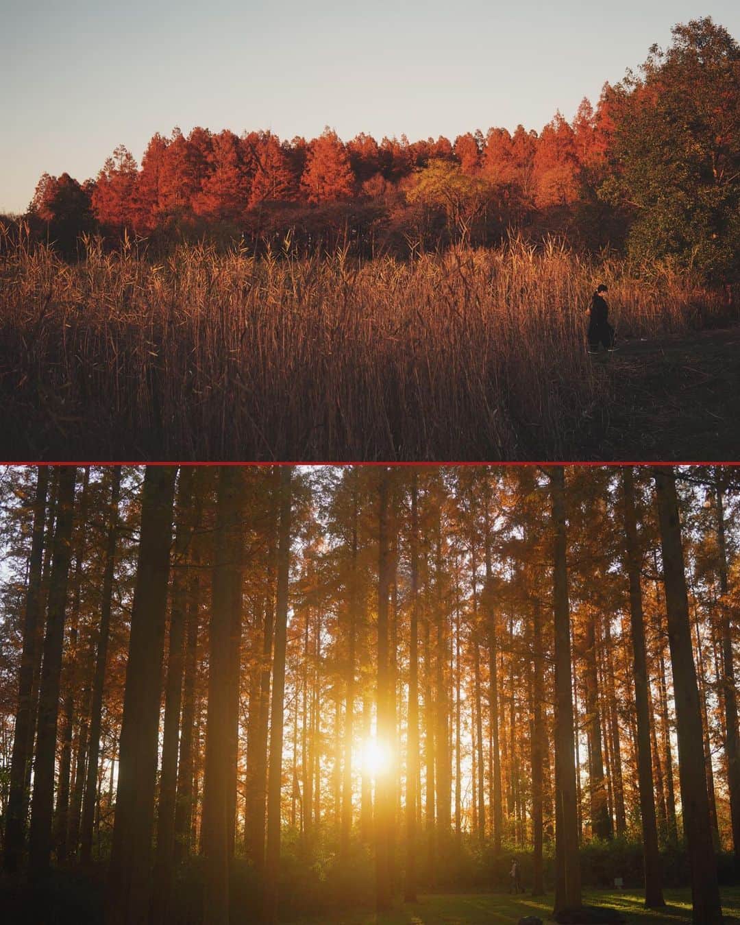 ima_ju / Jun Iのインスタグラム：「: : Super Natural Evening : : ::」