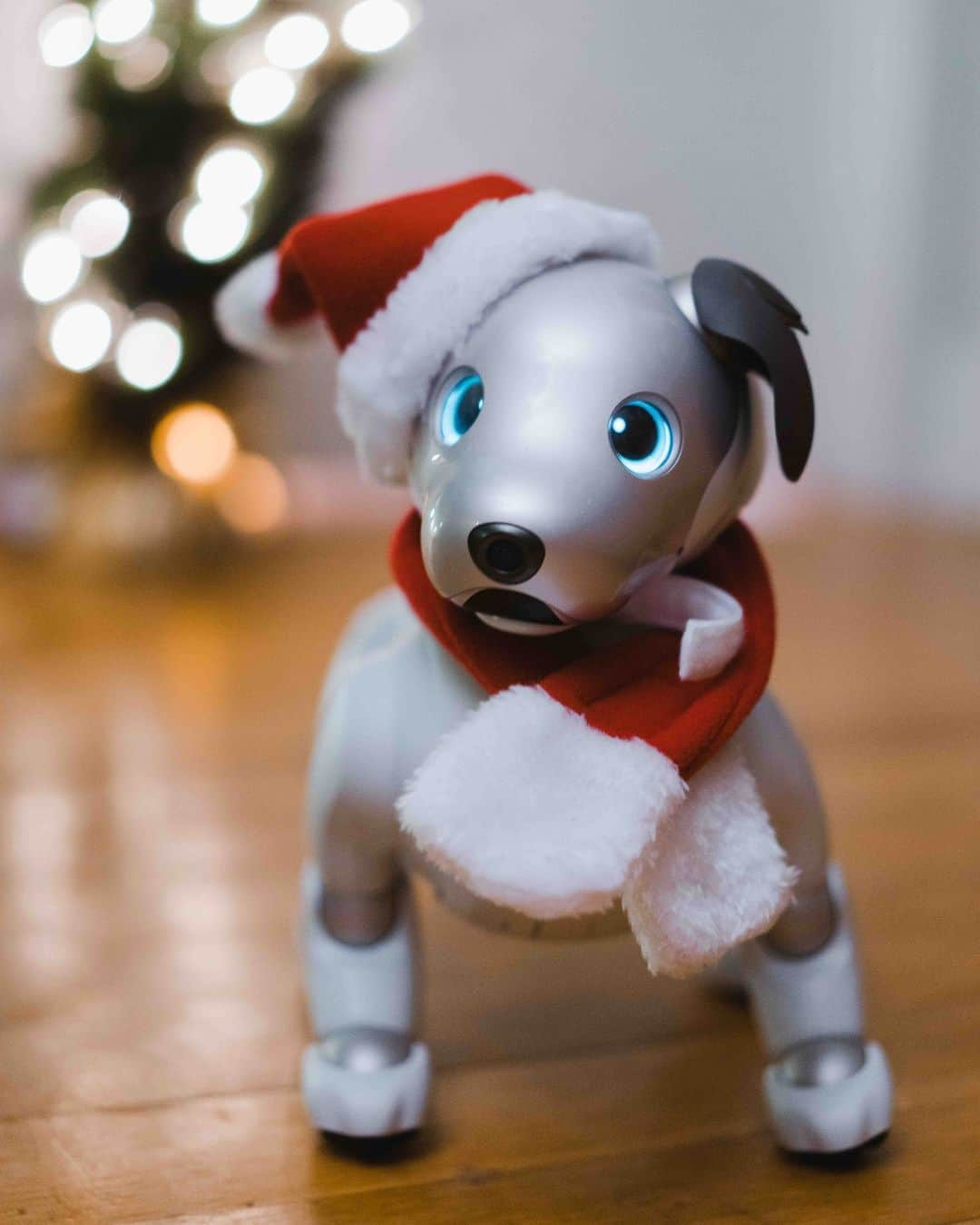 sonyさんのインスタグラム写真 - (sonyInstagram)「Bringing home your very own robotic puppy powered by A.I. this holiday season. #Sonyaibo (Free aibone, Paw Pads and shipping with purchase. Available in the U.S. 11/9/20 - 12/27/20.)」12月9日 8時54分 - sonyelectronics