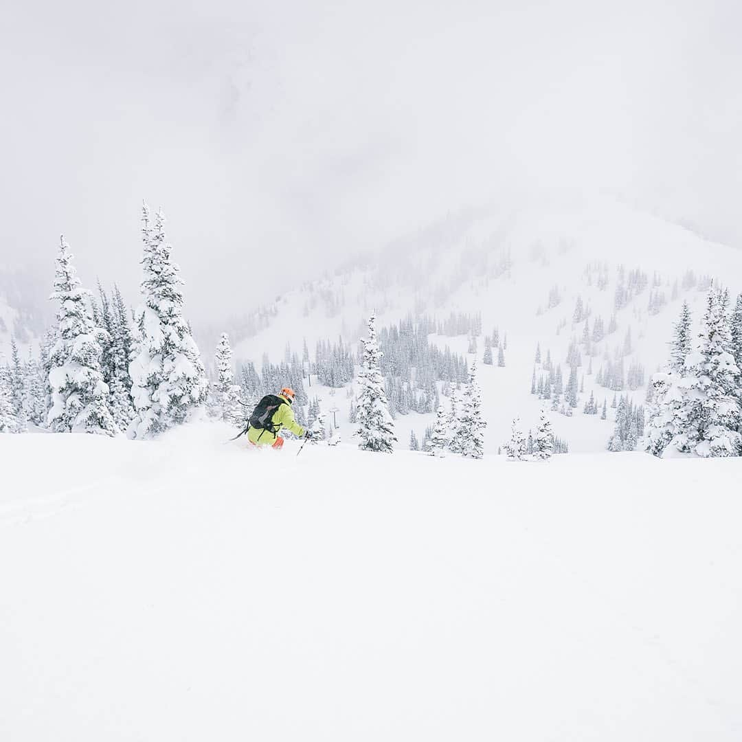 REIさんのインスタグラム写真 - (REIInstagram)「Before heading into the backcountry this season, make sure you have at least a basic knowledge of avalanche safety—like how to identify avalanche terrain and what rescue gear to bring. Tap the link in our bio to read the full guide, and swipe to see a few tips. #RecreateResponsibly」12月9日 9時08分 - rei