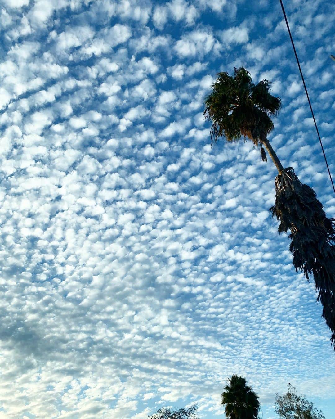 高木りなさんのインスタグラム写真 - (高木りなInstagram)「PM4:00  #sky #losangeles #california」12月9日 9時20分 - rinasvoyage