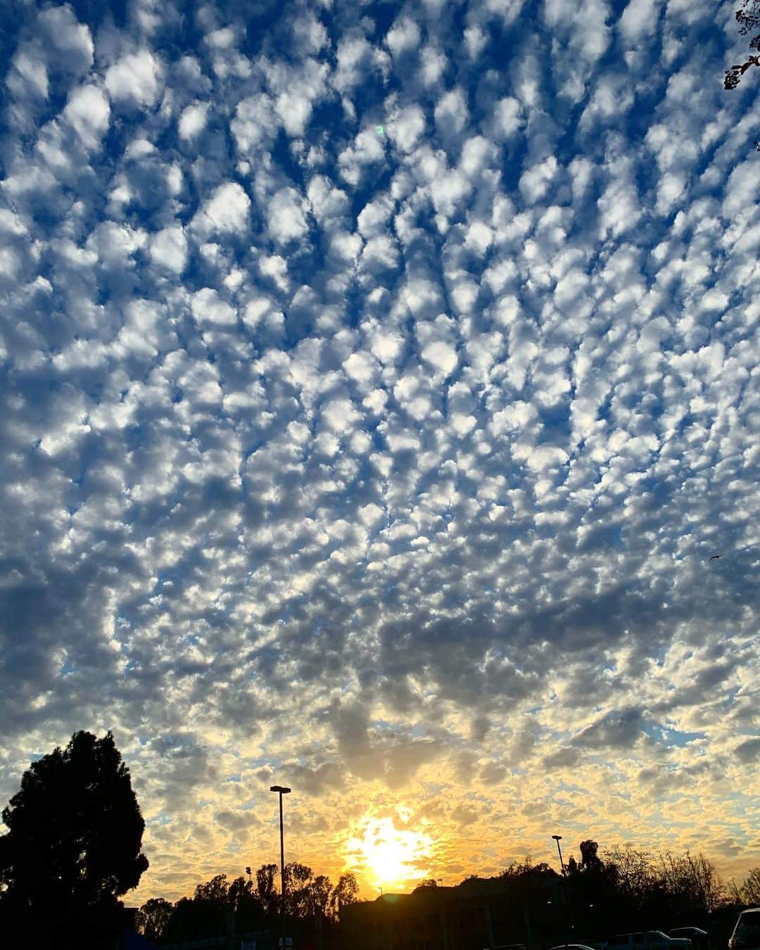 高木りなのインスタグラム：「PM4:00  #sky #losangeles #california」