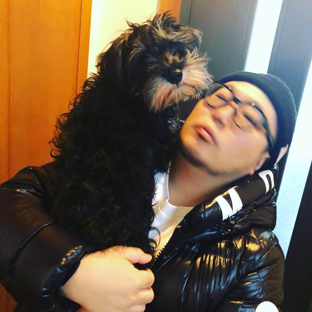 三浦崇宏さんのインスタグラム写真 - (三浦崇宏Instagram)「#dog #dogstagram  #犬 #instagood  #インスタグラムといえばノーマさんと聞いて」12月9日 9時48分 - takahiro3ura