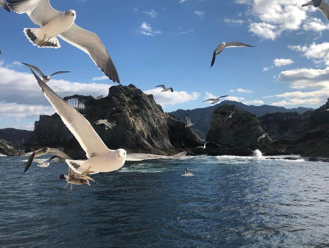 井上智晶さんのインスタグラム写真 - (井上智晶Instagram)「山海漬のロケで 来年1月で終了する みやこ浄土ヶ浜遊覧船に 乗って来ました！  スタッフの方々の笑顔が 素敵で、一日一日を 大切にお客様を 案内しているのが とても心に残りました。  ほっこりと温かいお話が いっぱい聞けましたので、 是非山海漬をご覧下さい！  放送は今月19日（土）です。  それから浄土ヶ浜で 日の出を、初めて見たんですが 本当に綺麗でした^_^  #岩手めんこいテレビ #山海漬 #井上智晶 #アナウンサー #宮古市 #観光スポット #浄土ヶ浜 #美しい風景 #日の出 #カモメ」12月9日 9時49分 - tomoaki.mit.inoue