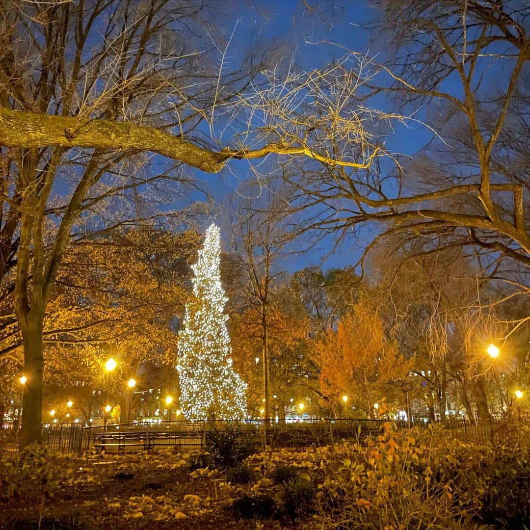 オランピアルタンのインスタグラム：「Christmassy 🎄❤️✨」