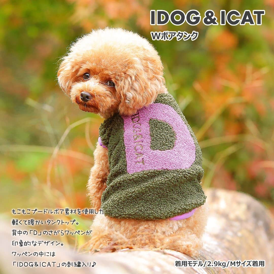 iDog&iCatさんのインスタグラム写真 - (iDog&iCatInstagram)「【1枚1080円～大人気プチプラウェア発売開始！】 . IDOG&ICATでは12/5より、販売開始しております♪ 楽天店舗URL：https://item.rakuten.co.jp/idog/c/0000000129/ . 今スグ着られるお手軽ウェアが7型UP♪ 在庫限りで販売終了になるので、お気に入りが見つかりましたら、お早目にどうぞ★ . IDOG&ICAT公式LINEをお友達登録でお得な情報をゲットしよう！LINE ID『 @idogicat 』で検索♪ . #iDog #iDogiCat #iCat #ペット服 #ドッグウェア #新作 #プチプラ #犬服 #犬の服 #犬の服iDog #犬 #超小型犬 #小型犬 #中型犬 #うちの子優勝 #キャットウェア #猫服 #猫の服 #猫の服iCat #猫 #わんすたぐらむ #dog #にゃんすたぐらむ #cat #チワワ #トイプードル #ミニチュアダックスフンド #MIX犬」12月9日 10時39分 - idogicat