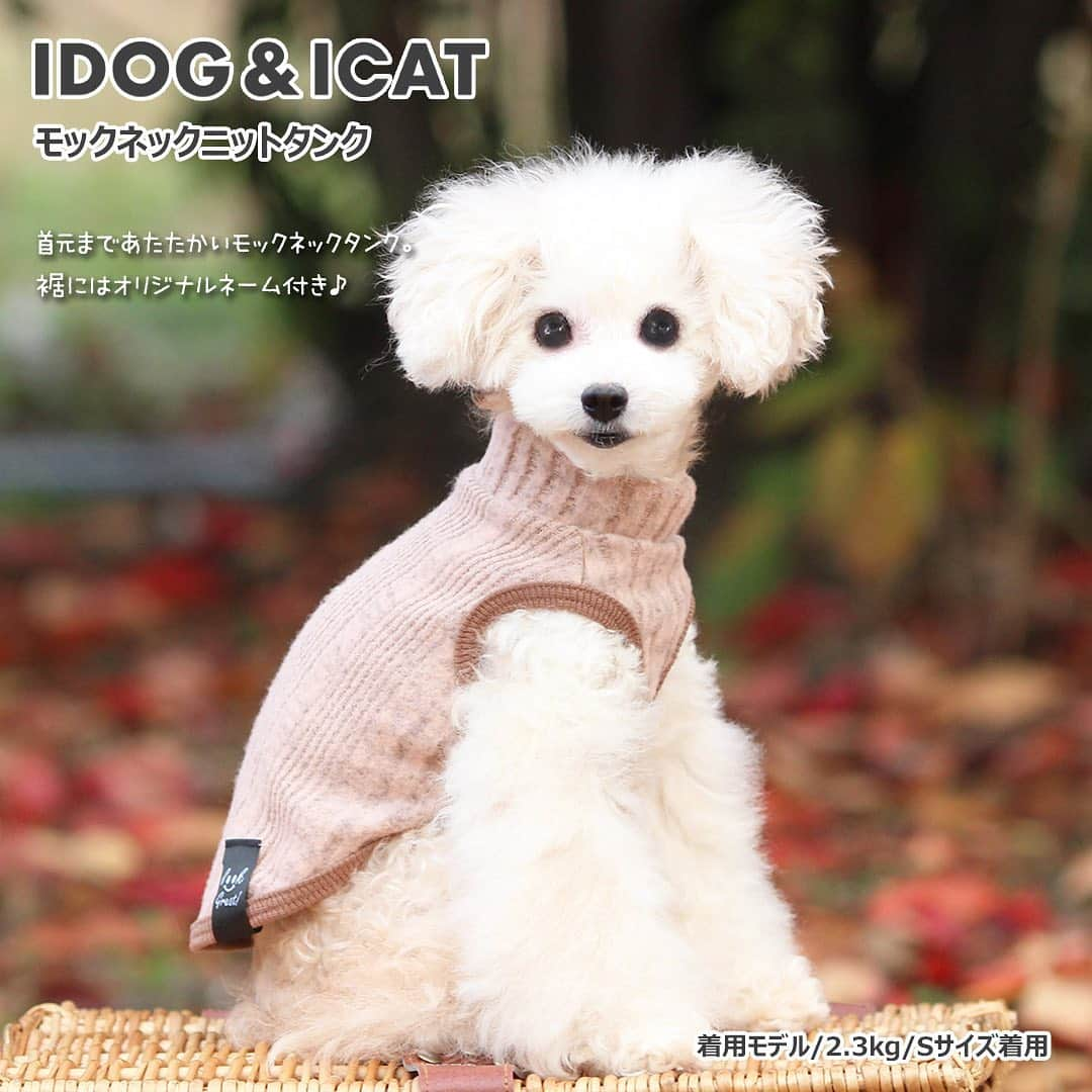 iDog&iCatさんのインスタグラム写真 - (iDog&iCatInstagram)「【1枚1080円～大人気プチプラウェア発売開始！】 . IDOG&ICATでは12/5より、販売開始しております♪ 楽天店舗URL：https://item.rakuten.co.jp/idog/c/0000000129/ . 今スグ着られるお手軽ウェアが7型UP♪ 在庫限りで販売終了になるので、お気に入りが見つかりましたら、お早目にどうぞ★ . IDOG&ICAT公式LINEをお友達登録でお得な情報をゲットしよう！LINE ID『 @idogicat 』で検索♪ . #iDog #iDogiCat #iCat #ペット服 #ドッグウェア #新作 #プチプラ #犬服 #犬の服 #犬の服iDog #犬 #超小型犬 #小型犬 #中型犬 #うちの子優勝 #キャットウェア #猫服 #猫の服 #猫の服iCat #猫 #わんすたぐらむ #dog #にゃんすたぐらむ #cat #チワワ #トイプードル #ミニチュアダックスフンド #MIX犬」12月9日 10時39分 - idogicat