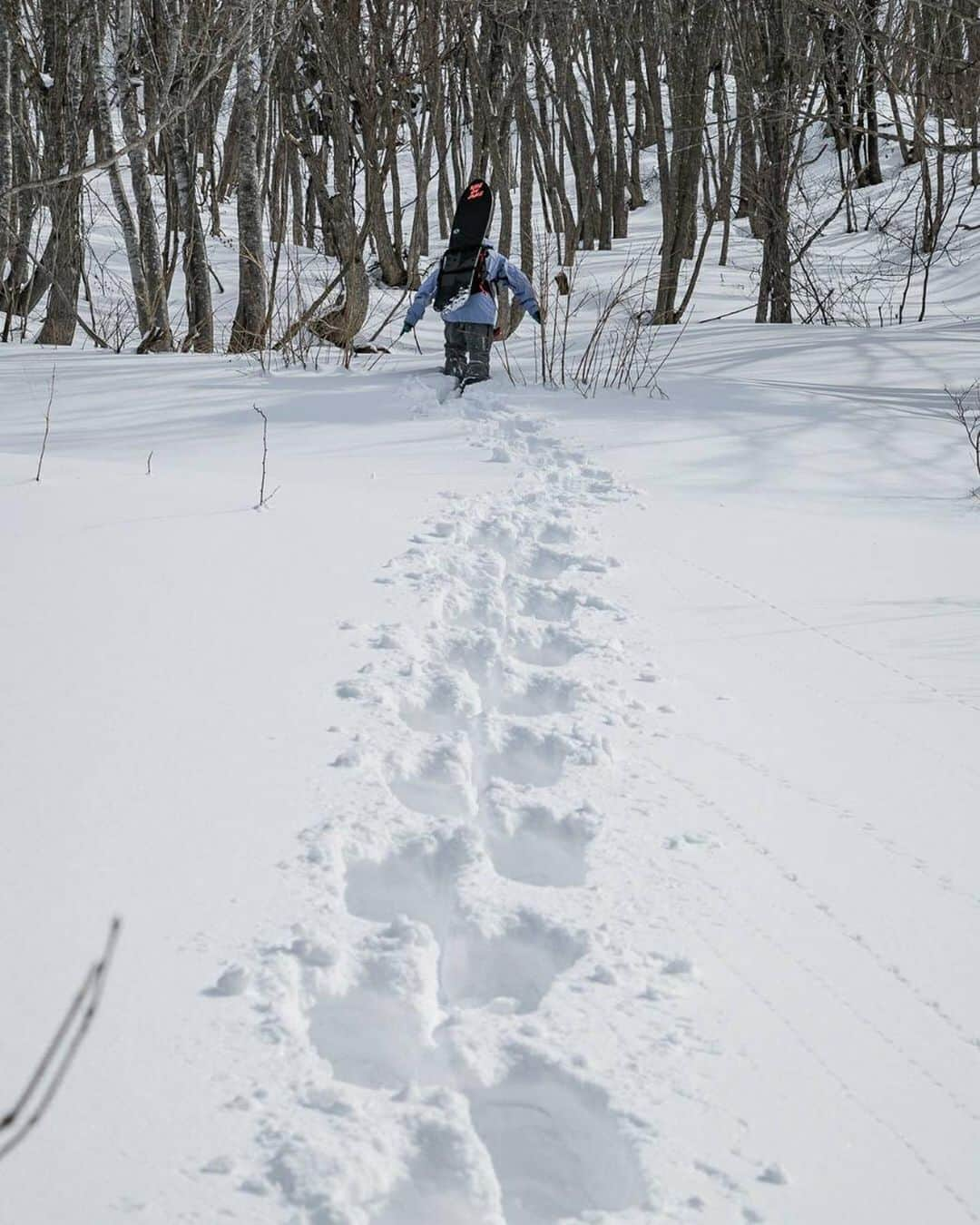 Burton Japanのインスタグラム