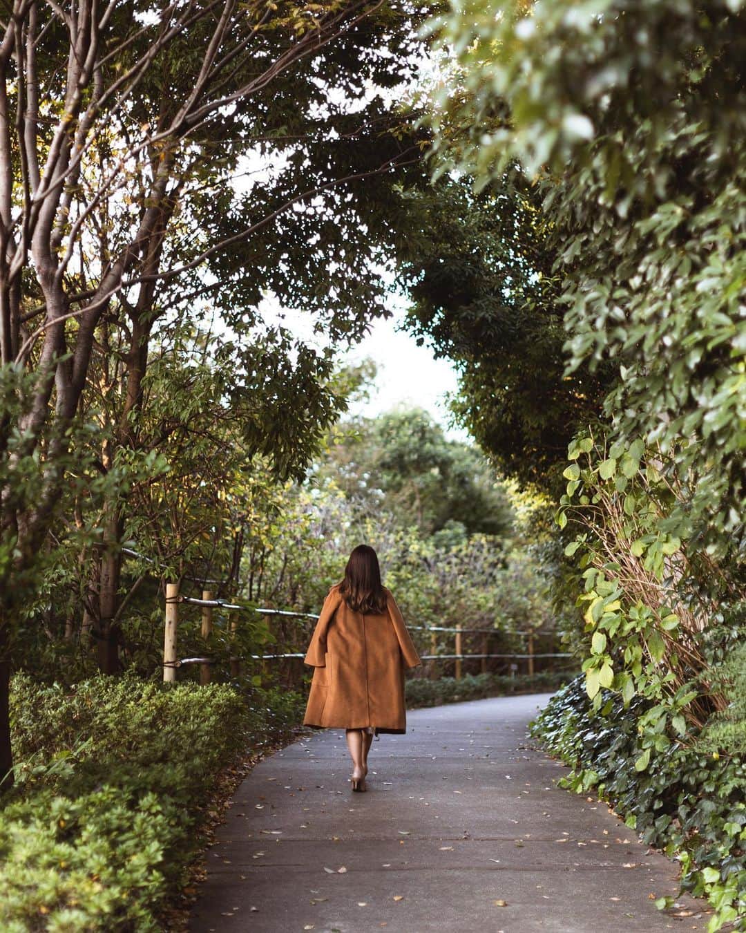 のインスタグラム：「芝公園では季節ごとに移り変わる豊かな自然をお楽しみいただけます。  Enjoy the last moments of the beautiful Autumn leaves that surround our hotel with a walk to Shiba Koen!  Share your own images with us by tagging @princeparktowertokyo ————————————————————— #TokyoTower #princeparktower #princehotels #tokyo #japan #beautifulhotels #tokyohotel #shibakoen #akabanebashi #azabujuban #tokyotower #ThePreferredLife #プリンスパークタワー東京 #東京タワ」