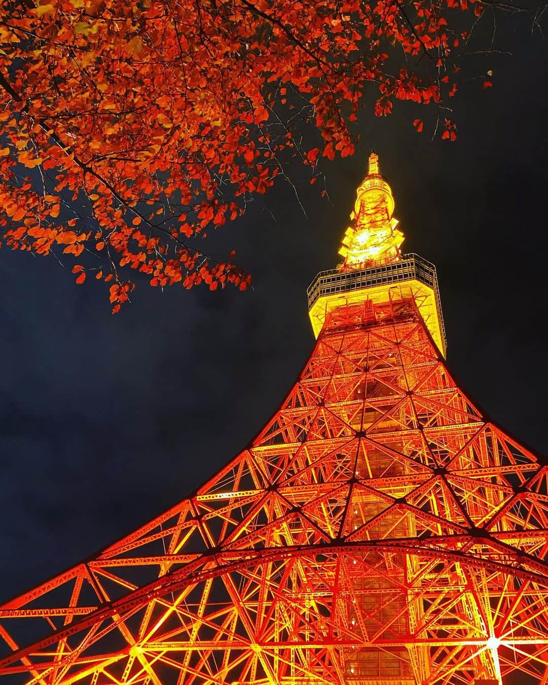 ピエール北川さんのインスタグラム写真 - (ピエール北川Instagram)「😍 今日は、 こちらのスタジオでお仕事でした。 撮影終わって外に出たら、 余りにも東京タワーが カッコよくて‼️ 素晴らしくて‼️ 惚れ惚れする‼️ その美しさに、 疲れも忘れてしまいました（笑） 仕事頑張ったご褒美だな✌️  素敵だね。 #東京タワー」12月9日 20時39分 - pierrekitagawa