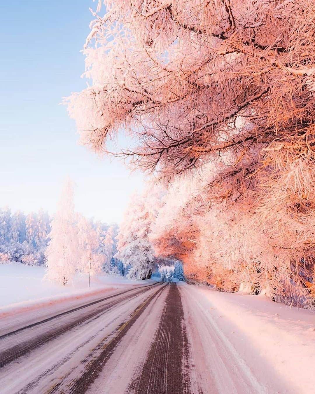 Canon Photographyさんのインスタグラム写真 - (Canon PhotographyInstagram)「Golden winter light in Finland Photography // @jukkapaa Curated by @steffeneisenacher  #finland #winterwonderland #lapland #finnishlapland #sunrisephotography」12月9日 20時59分 - cpcollectives