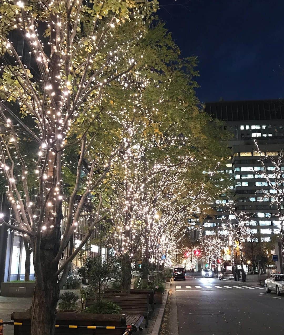 塚田文さんのインスタグラム写真 - (塚田文Instagram)「クリスマスシーズン到来🎄  早く新しい年にならないなか？…なんて思ってしまいがちな今年ですが、今年は今年で得るものがあった年だと思うのです。。。  でもやっぱり、新しい年に解放的な未来を期待しちゃいます✨😬  #2020年クリスマス #東京 #パレスホテル東京 #マロンシャンティ #クラブハウスサンドイッチ #丸の内イルミネーション  #japan #tokyo #christmaslights #2020christmas」12月9日 21時03分 - tsukadaaya1976