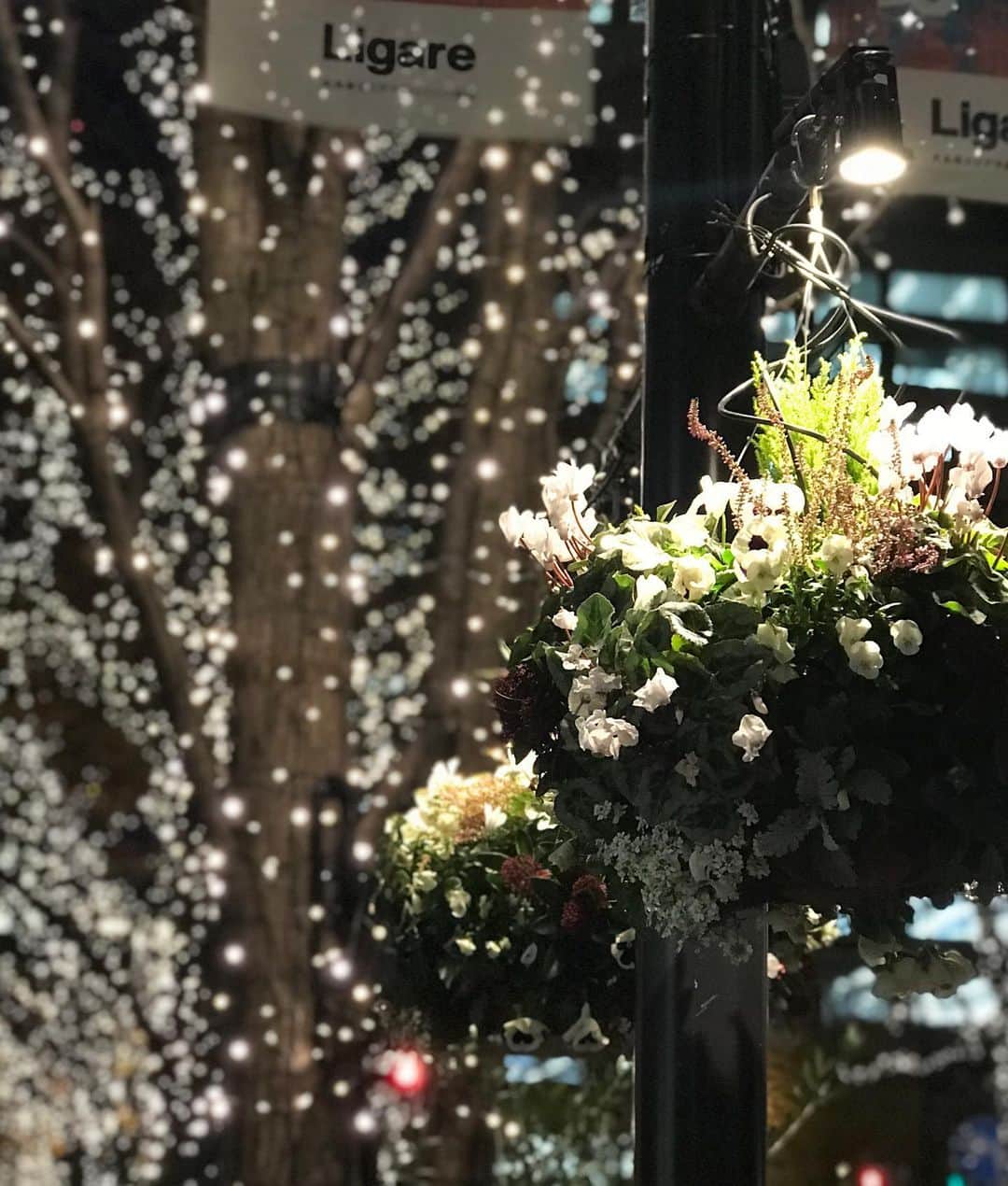 塚田文さんのインスタグラム写真 - (塚田文Instagram)「クリスマスシーズン到来🎄  早く新しい年にならないなか？…なんて思ってしまいがちな今年ですが、今年は今年で得るものがあった年だと思うのです。。。  でもやっぱり、新しい年に解放的な未来を期待しちゃいます✨😬  #2020年クリスマス #東京 #パレスホテル東京 #マロンシャンティ #クラブハウスサンドイッチ #丸の内イルミネーション  #japan #tokyo #christmaslights #2020christmas」12月9日 21時03分 - tsukadaaya1976
