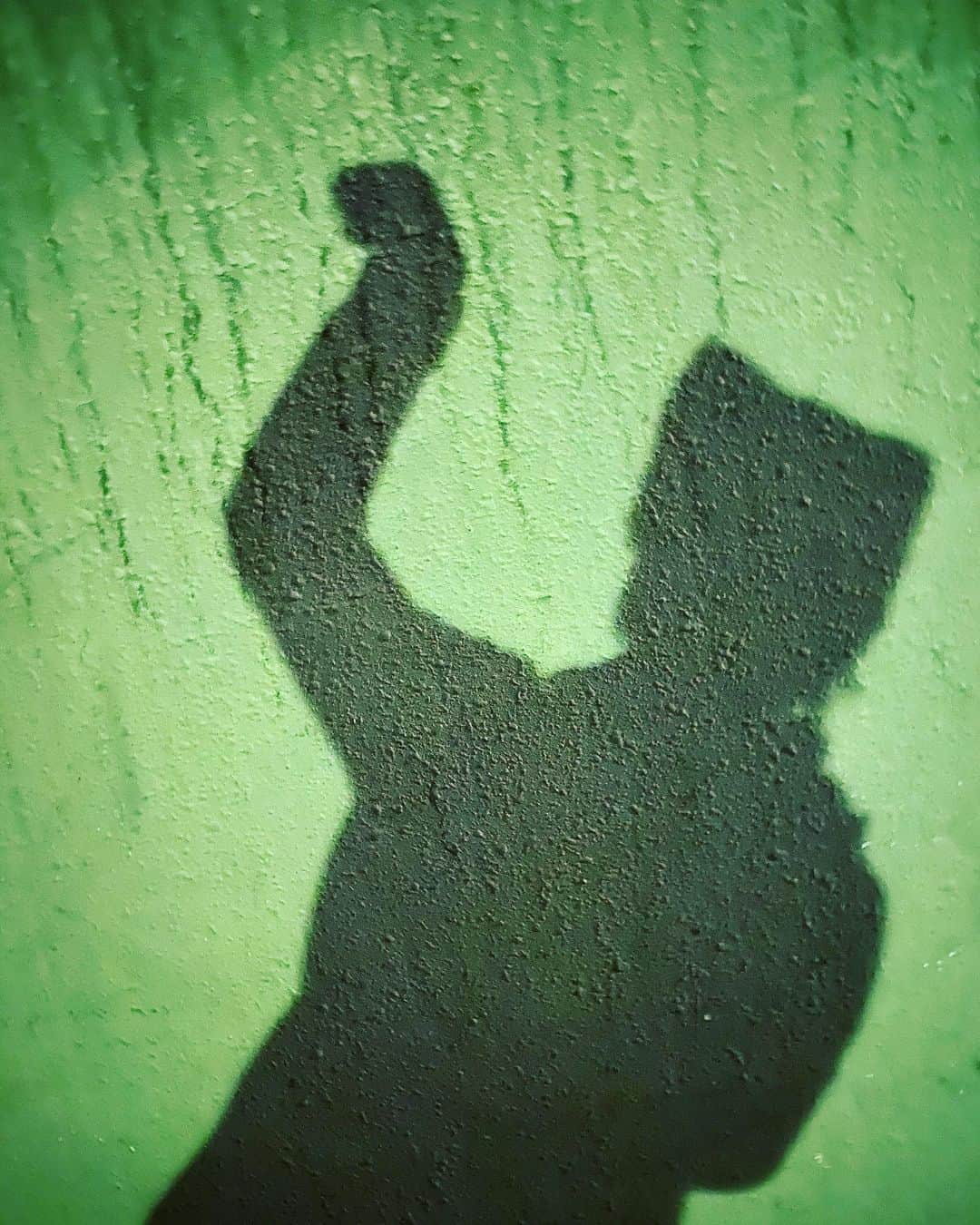 野本かりあのインスタグラム：「今日は週一のテニス🎾 ボールが遠くに飛んで行ってしまった先は、隣接する野球場。 そこに扉があったのだけど、三分の一は潜れる状態で。 本能のまま、潜ってみたけれど テニス仲間に『猫だな、猫だ。』と言われて見たら、扉、鍵が此方から開けられるやつだった。 感覚が猫だわ。猫だ。 #野本かりあ」