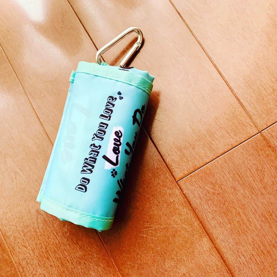 LEEさんのインスタグラム写真 - (LEEInstagram)「寒くなったら使いたい！ と一目ぼれしたメルカドバッグ  別注品で、買ったのは夏 （もう購入することができない商品なのです･･･）  このチェック柄 秋冬のほうがしっくり来る気がして じっとスタンバイ。 寒くなった最近、スタメンバッグとして大活躍中です！  LITRALのメルカドさんは これで3代目  初代も2代目も引退することなく 現役で働いています☺️✨ .  バッグを落っことしちゃったり うっかりどこかに置いたあとに メルカドさんなら シートでガシガシ拭けるのも この時期ありがたーいのです！  丈夫なところも愛おしい♡  もう一つ メルカドバッグのハンドルについているのは 友人のUSJ土産（お買い物してません（笑））のエコバッグ  このひっかけておけるのがすごーく便利で こちらも重宝してます （SNOOPYなのもうれしい♡）  バッグの奥から エコバッグをひっぱり出すのが面倒で つい「レジ袋ください」 って言う回数が減りました！（WEBタラコ）  #magazinelee #LEEweb #LEE編集部のお買い物 #メルカドバッグ #LITRAL #エコバッグ #スヌーピー #USJ #お土産 #SNOOPY #LEE1月号 大好評です #ぜひお手に取ってください」12月9日 14時29分 - magazinelee