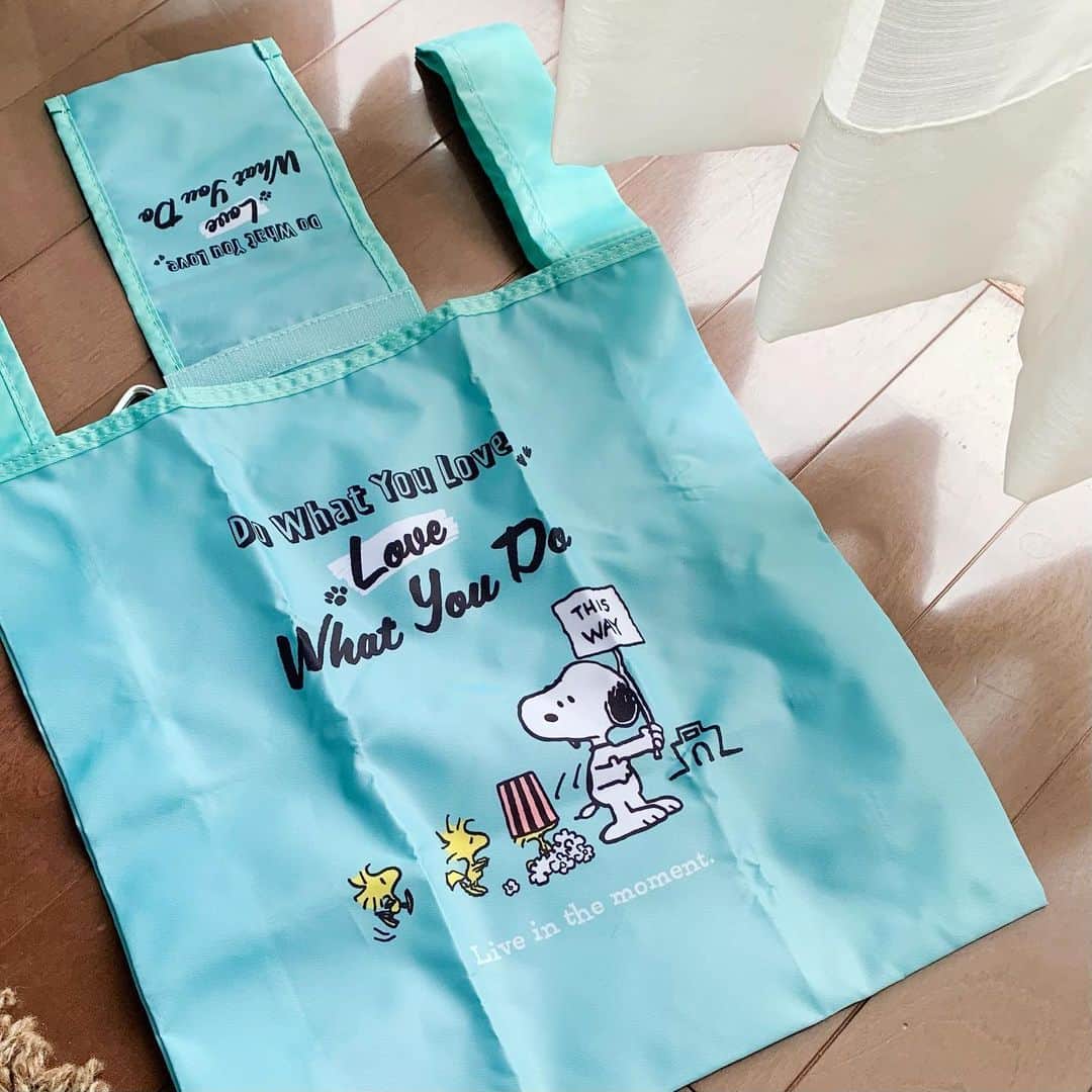 LEEさんのインスタグラム写真 - (LEEInstagram)「寒くなったら使いたい！ と一目ぼれしたメルカドバッグ  別注品で、買ったのは夏 （もう購入することができない商品なのです･･･）  このチェック柄 秋冬のほうがしっくり来る気がして じっとスタンバイ。 寒くなった最近、スタメンバッグとして大活躍中です！  LITRALのメルカドさんは これで3代目  初代も2代目も引退することなく 現役で働いています☺️✨ .  バッグを落っことしちゃったり うっかりどこかに置いたあとに メルカドさんなら シートでガシガシ拭けるのも この時期ありがたーいのです！  丈夫なところも愛おしい♡  もう一つ メルカドバッグのハンドルについているのは 友人のUSJ土産（お買い物してません（笑））のエコバッグ  このひっかけておけるのがすごーく便利で こちらも重宝してます （SNOOPYなのもうれしい♡）  バッグの奥から エコバッグをひっぱり出すのが面倒で つい「レジ袋ください」 って言う回数が減りました！（WEBタラコ）  #magazinelee #LEEweb #LEE編集部のお買い物 #メルカドバッグ #LITRAL #エコバッグ #スヌーピー #USJ #お土産 #SNOOPY #LEE1月号 大好評です #ぜひお手に取ってください」12月9日 14時29分 - magazinelee