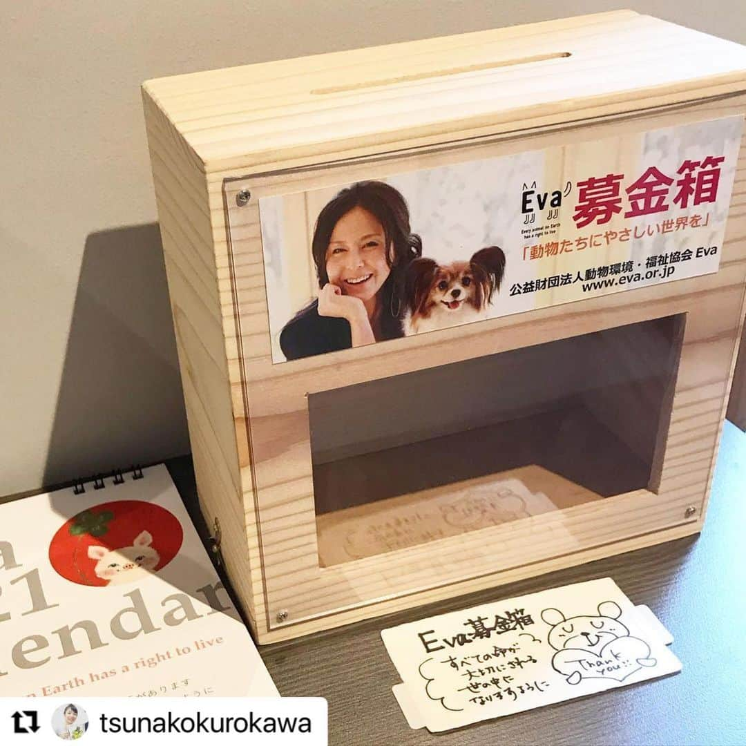 杉本彩さんのインスタグラム写真 - (杉本彩Instagram)「* * イラストレーターの黒川ツナ子さんをrepost❗️  　　　↓↓↓  #Repost @tsunakokurokawa with @make_repost ・・・ 🔸原画展「美しい命の物語り」🔸  12/9（水）〜13（日） 10:00〜17:30（最終日は17:00まで）  喫茶ヒトクチヤさんのギャラリースペースで原画展をさせて頂きます。  本日、搬入&展示させて頂きました。  今回は @sugimoto_aya0719 さんが代表をつとめる @evaanimal ⭐︎ Eva2021カレンダーの原画を中心に展示させて頂き、ヒトクチ屋さんのご好意で、私の在廊中に限り、Evaの募金箱も置かせて頂きます🐶🐱   観光やお散歩がてら、素敵な喫茶店でほっこりしてもらって、ちょっと変わった小さな階段ギャラリーで原画に会ってもらえたら嬉しいです。 多分、ちょうど目が会う感じです😉  時節柄、常には在廊していない予定ですので、ぜひご一報ください！ だって会いたいから！笑  以上、5日間どうぞよろしくお願いします☺️🙏  #kyoto #kyotocafe  #artgallery #artspace #cafegallery  #京都 #喫茶ヒトクチヤ #ヒトクチヤ  #階段ギャラリー  #原画展  #公益財団法人動物環境福祉協会eva  #evaanimal #eva2021カレンダー  #eva募金箱  #すべての命が大切にされる世の中になりますように  #prayforhappiness」12月9日 14時40分 - sugimoto_aya0719