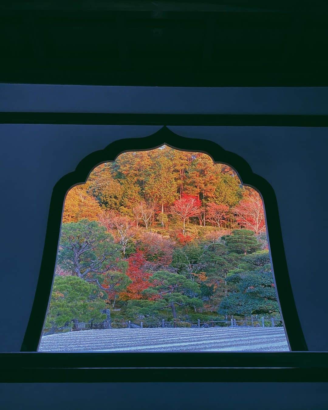 水上京香さんのインスタグラム写真 - (水上京香Instagram)「🌬 深 呼 吸 🍂 #kyotonobody #ミナカミ写真展」12月9日 15時26分 - kyokaminakami_official