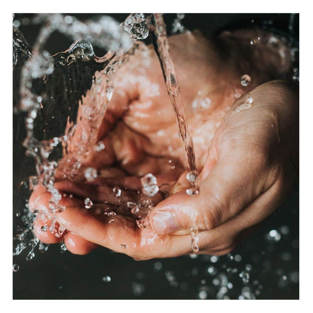 Stop The Water While Using Me!さんのインスタグラム写真 - (Stop The Water While Using Me!Instagram)「Be a waschbär 🦝 , not a hamster. 🐹  Which type are you? Either way, don't forget to stop the water while washing your hands!⁠ ⁠ #washyourhands #waterlover #stopthewaterwhileusingme #savewater #saveourrescources #allyouneedismoreofless #bethechange #consciousliving #consciouscosmetics #allnaturalcosmetics #organiccosmetics #sustainablecosmetics #inspired by #unsplash」12月9日 16時01分 - stopthewater