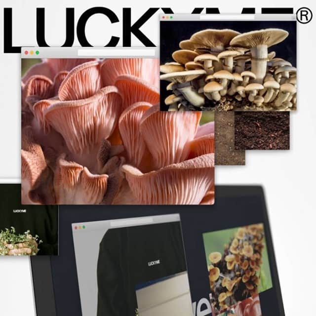 Block.fmのインスタグラム：「レーベルLuckyMeが大人気コンピレーションシリーズ「LuckyMe Advent Calendar」を今年復活✨フルアルバムがリリースされるまでに毎日一曲公開。Day 1にJacques Greene @jacquesgreene、Day 2にSEIHO @seiho777 のトラックをリリース！ #bfmstaffpick」