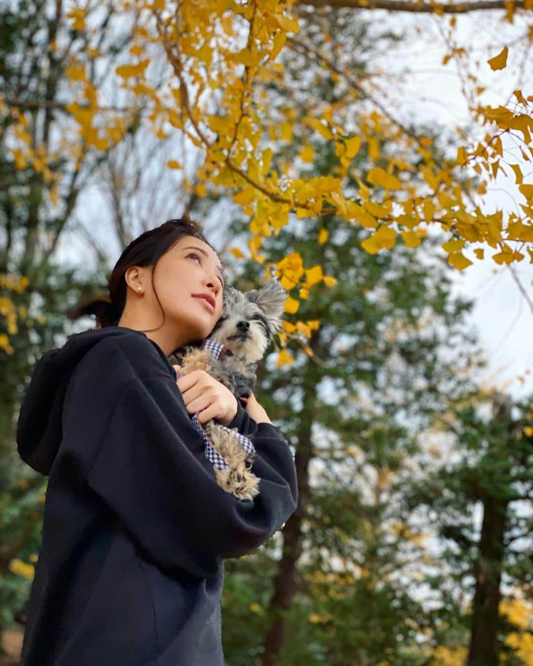 神室舞衣のインスタグラム：「花まる🐶🍁  公園に落ち葉の絨毯できてて綺麗で感動した🥺💛 ここはすごく広い公園で春には桜、夏にはひまわりといつ行っても綺麗でよく行くお気に入りの場所 紅葉もまだまだ綺麗でした🍁 この日はたくさん遊んでみんなヘトヘトな1日でした🐶🐶🐶」