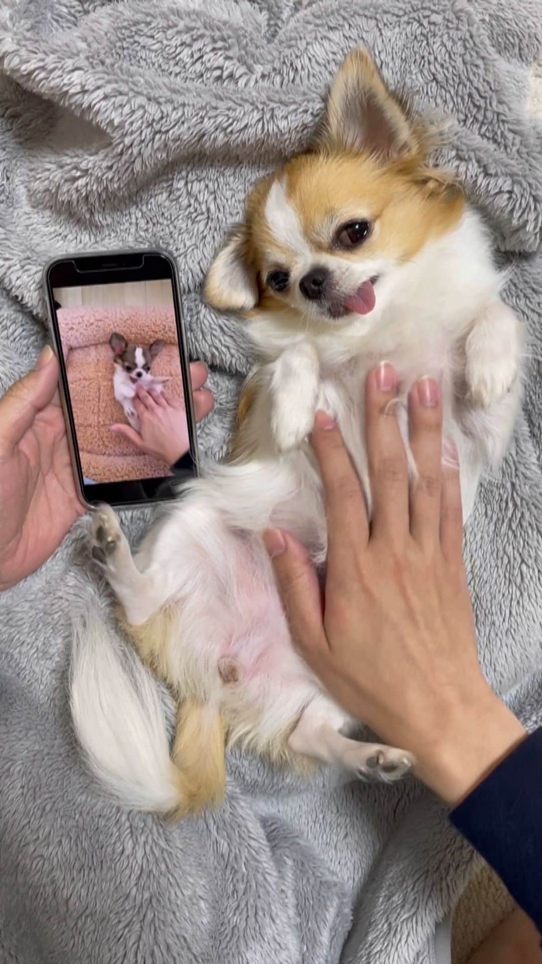 ちまのインスタグラム
