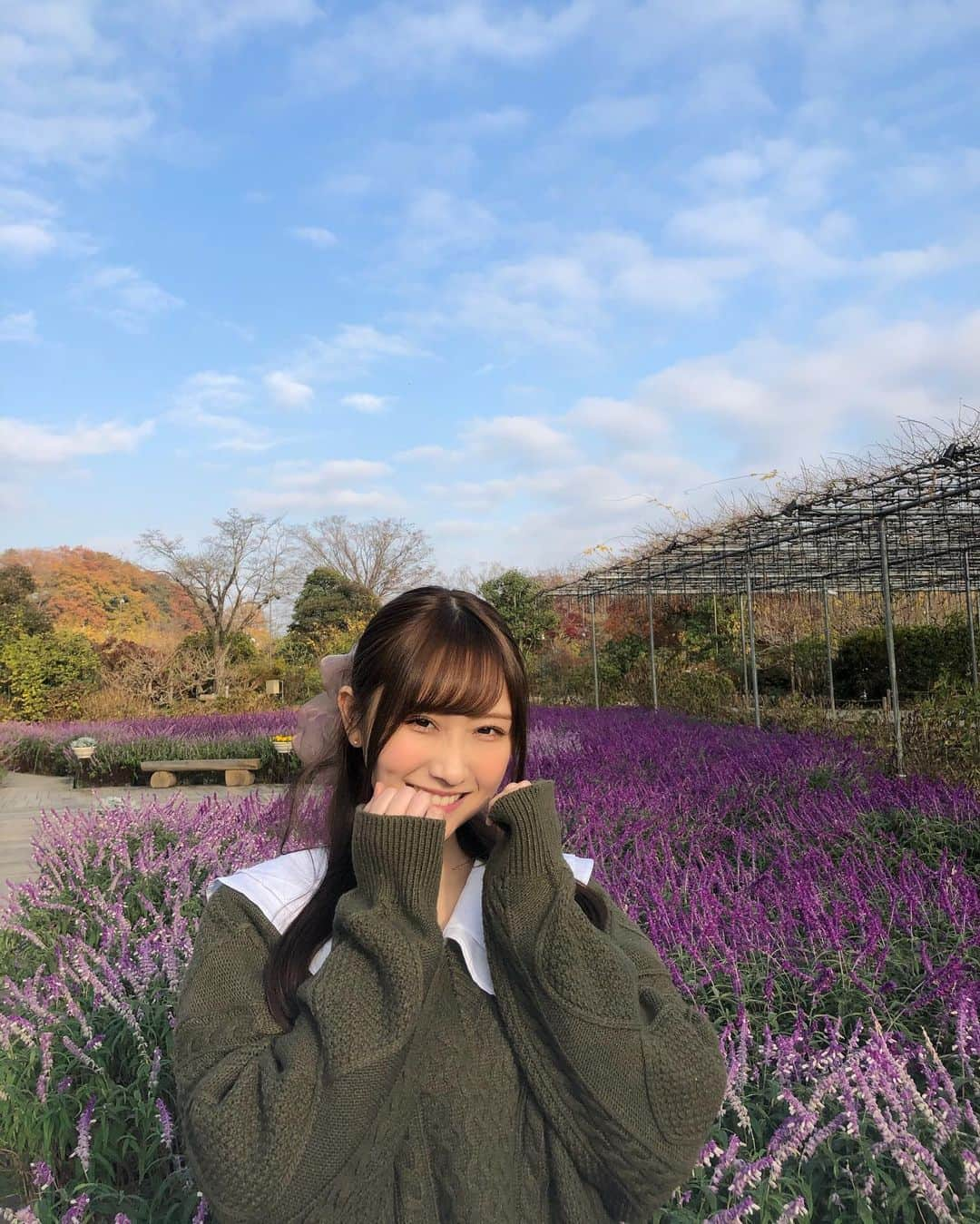 矢倉楓子さんのインスタグラム写真 - (矢倉楓子Instagram)「空とお花が綺麗〜💐💙 ここオススメです☝️  #足利フラワーパーク #イルミネーション #ラベンダー #ビッグシュシュ #ニットコーデ　#ヘアアレンジ  #ハーフアップ」12月9日 22時06分 - fufu_ice