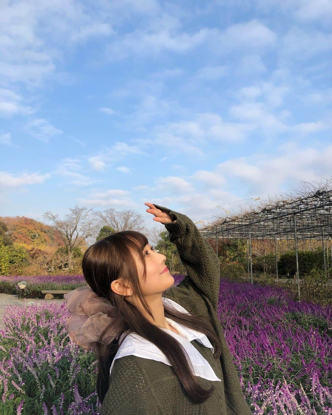 矢倉楓子さんのインスタグラム写真 - (矢倉楓子Instagram)「空とお花が綺麗〜💐💙 ここオススメです☝️  #足利フラワーパーク #イルミネーション #ラベンダー #ビッグシュシュ #ニットコーデ　#ヘアアレンジ  #ハーフアップ」12月9日 22時06分 - fufu_ice