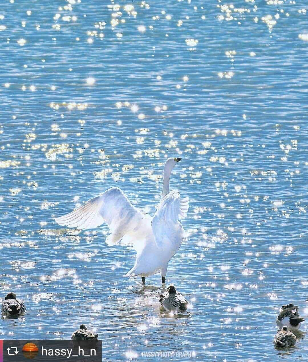 兵庫県のインスタグラム