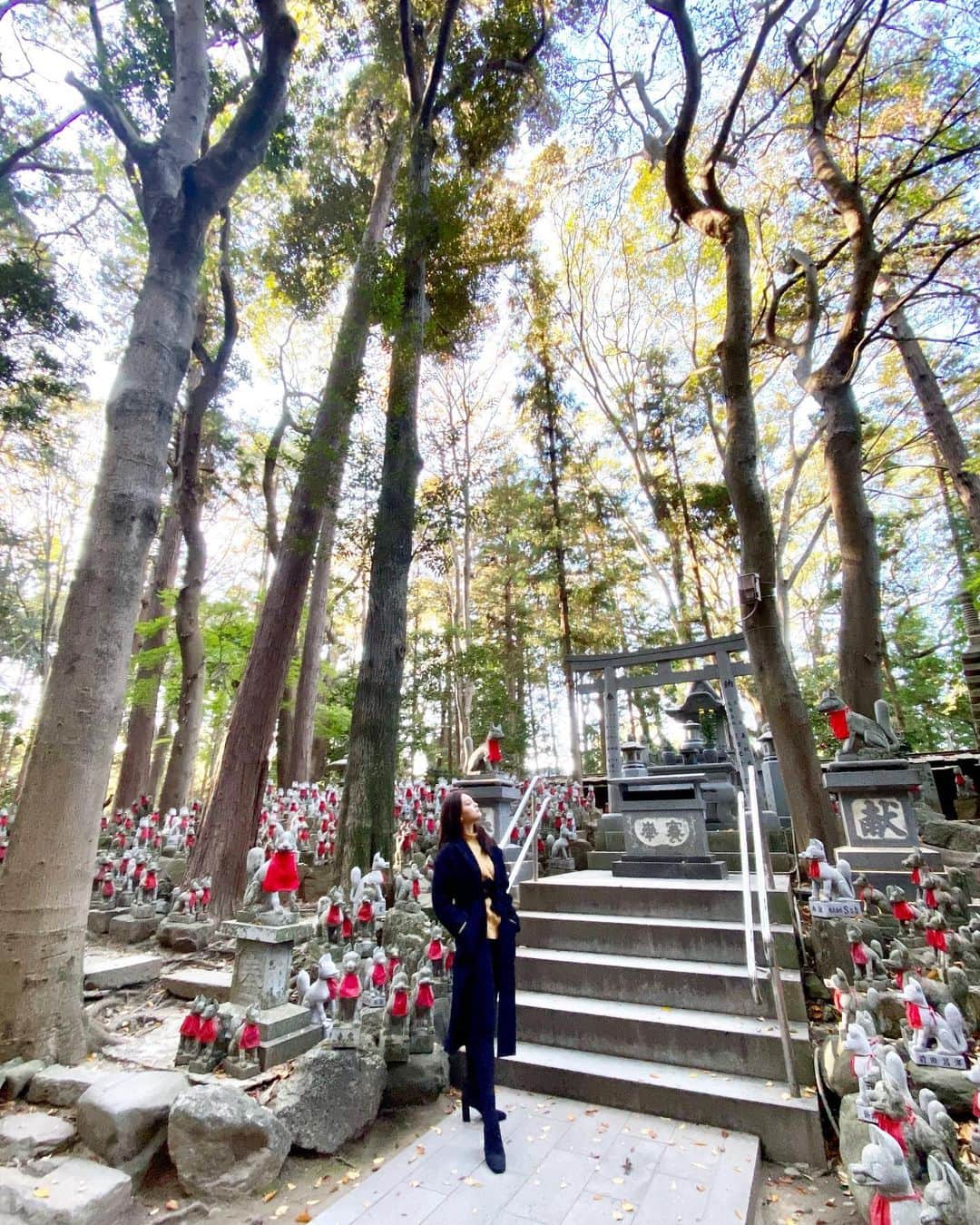 遊海 Yuumiさんのインスタグラム写真 - (遊海 YuumiInstagram)「Visited Toyokawa Inari ❤️ god of worldly success. It’s really peaceful and beautiful shrine and temple in one place. 豊川稲荷に行ってきました。お寺と神社が一つの場所にあり、とても静かで緑多く綺麗な場所でした。商売繁盛で有名で、ついつい写真を撮りたくなってしまうような日本ならではの美しさが沢山ありました。　#豊川　#豊川稲荷　#愛知県　#神社　#toyokawainari #toyokawa #aichi #japan #beautiful #visitjapanjp #visitjapan」12月9日 16時54分 - yuumi_kato