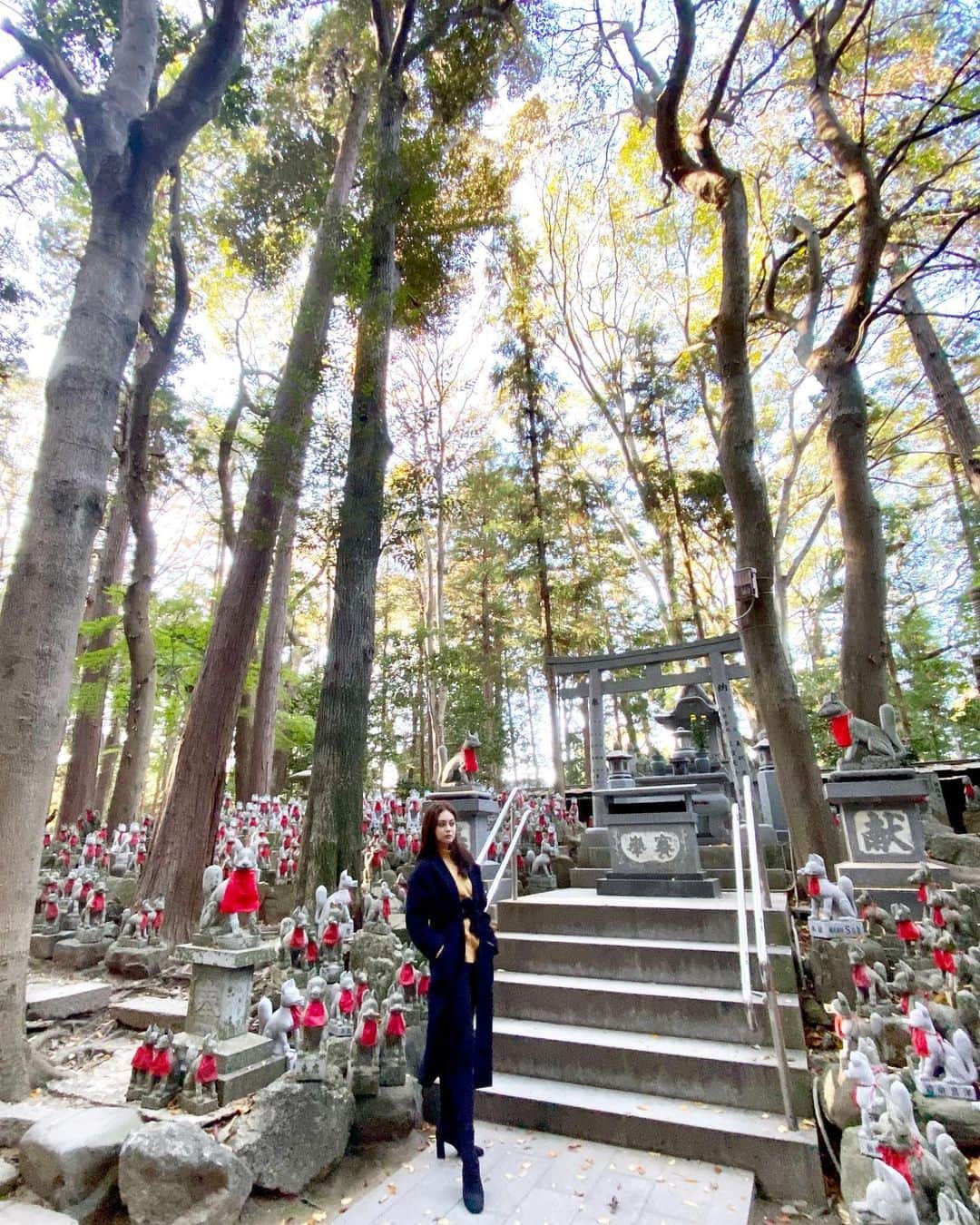 遊海 Yuumiのインスタグラム：「Visited Toyokawa Inari ❤️ god of worldly success. It’s really peaceful and beautiful shrine and temple in one place. 豊川稲荷に行ってきました。お寺と神社が一つの場所にあり、とても静かで緑多く綺麗な場所でした。商売繁盛で有名で、ついつい写真を撮りたくなってしまうような日本ならではの美しさが沢山ありました。　#豊川　#豊川稲荷　#愛知県　#神社　#toyokawainari #toyokawa #aichi #japan #beautiful #visitjapanjp #visitjapan」
