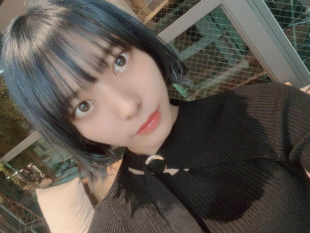 徒然みおれさんのインスタグラム写真 - (徒然みおれInstagram)「ネイビーブルー🦕✨  #newhair #hairstyle #髪色 #ネイビーカラー #ネイビーブルー #ブルー #ターコイズブルー #ブリーチカラー #髪型 #ボブ #ショートボブ」12月9日 16時57分 - mioretty