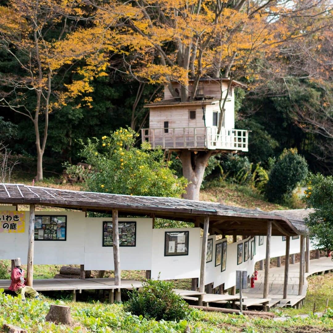 のインスタグラム：「【いわき回廊美術館】  東日本大震災後、現代芸術家・蔡國強（ツァイ・グオチャン）さんと地元いわき市の人々が造った野外美術館です。空に登っていく龍をイメージし、別名は『Snake Museum of Contemporary Art（SMoCA）』（スモカ）。ツリーハウスやブランコなど、田園風景の中で芸術に触れることができるスポットです。  #いわき回廊美術館 #いわき市 #いわき地方  #福島県 #iwakicity #fukushima #traveljapan #futurefromfukushima #ふくしまからはじめよう #新しい生活様式からはじめよう」