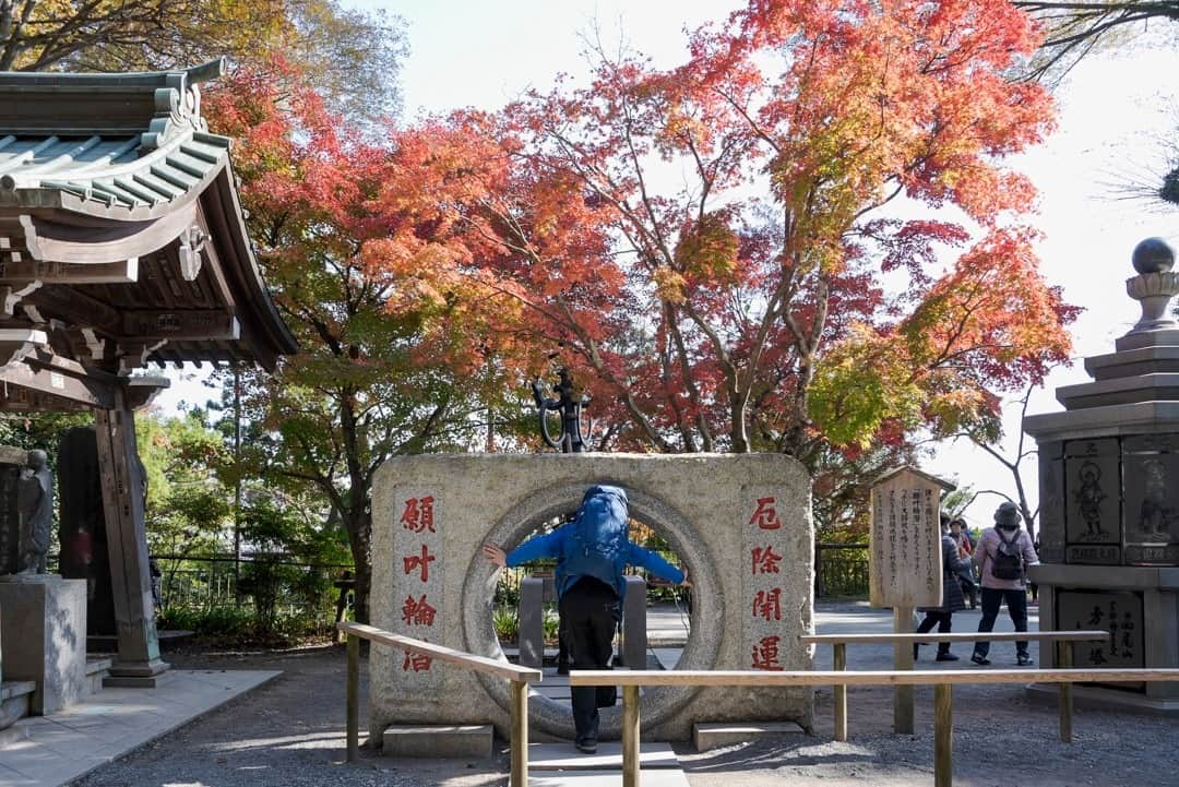 東京都庁広報課さんのインスタグラム写真 - (東京都庁広報課Instagram)「「高尾山 Mt.Takao(2020.11.13撮影)」最寄り駅：高尾山口駅  #紅葉 　#薬王院　#トレッキング　#京王線　#寺院　#多摩　#散歩 #tokyotokyo #tokyogram #moodygrams #jp_gallery #ptk_japan #gdayjapan #realtokyo #beautifuldestinations #tokyojapan #instatokyo #loves_nippon #phos_japan #bestjapanpics #cooljapan #japan_of_insta #photo_jpn #illgrammers　 #景色 #東京 #Tokyo #东京 #도쿄 #tokyogood」12月9日 17時15分 - tocho_koho_official