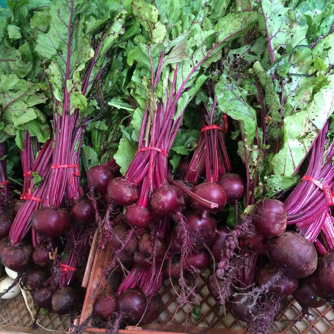 Sunshine Juiceのグルメインスタ