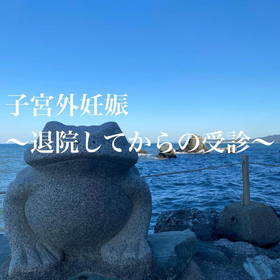 朋未のインスタグラム：「11/22に退院 １週間休んで仕事復帰しました。  「できるだけ重たいものは持たないように」と言われましたが、ついついかわいくて抱っこしてしまう。 職場の皆さん、お友だち、家族にはたくさん心配をかけてしまいました。 感謝の気持ちと申し訳なさでいっぱい、、  術跡は全く痛まず。痒くもならず。 すこぶる元気。  今日12/9 術後３週間の受診に行ってきましたが、経過もいいようで、不妊治療に戻る許可をいただきました✨  手術を担当してくれた先生が素敵な方で、不妊治療もそこでやりたかったけれど、ひとまず元の病院に戻ることにしました。  もう子宮外妊娠したくない気持ちと怖さから、体外受精へとステップアップしたいけど、元の病院の先生と話し合おうと思います。  不妊治療の所得制限撤廃と拡充が2021年1月〜という記事を読んだのでそれに期待！  読んでいただきありがとうございました。  #子宮外妊娠 #子宮外妊娠後 #不妊治療 #中村日赤病院  #術後 #卵管摘出 #腹腔鏡手術」