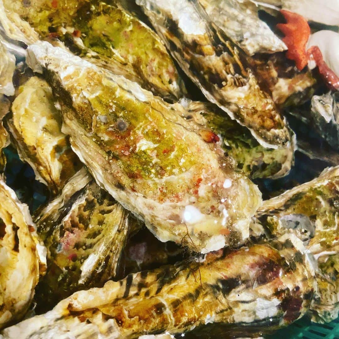 鶏魚 谷町のインスタグラム：「本日もお仕事お疲れ様です！ 谷町4丁目駅すぐ！ がぶ飲み酒場“鶏魚”です🐓  こちらは本日入荷したての、 宮城県産の活き牡蠣！ 店名は鶏と魚ですが、 イチオシは“貝の浜焼き”🐚  本日どーーんと5kg仕入れたので、 あなたの牡蠣欲を満たすまでは 無くなりません！  「活き牡蠣」¥200〜  #鶏魚#谷4#谷町4丁目#谷町#貝#海鮮居酒屋#牡蠣#飲み放題#セルフ飲み放題#焼鳥#焼き鳥」