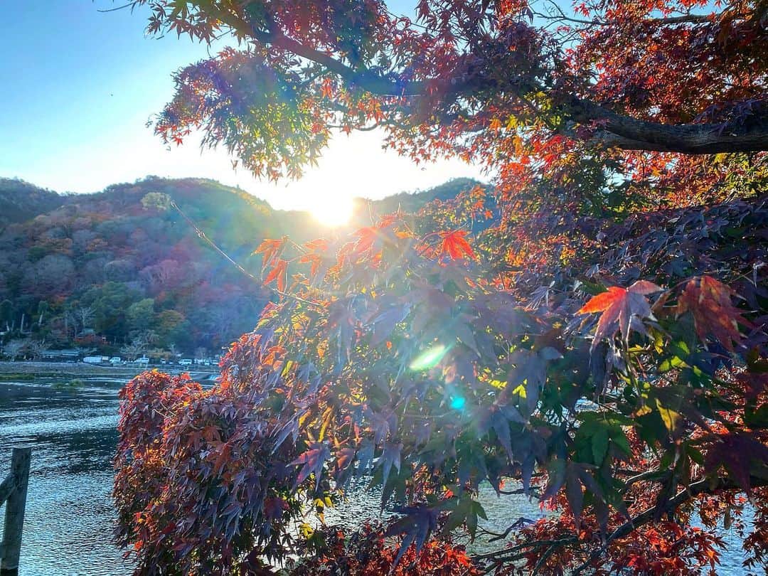 のインスタグラム：「． 無加工でこの綺麗さ🥺🍁 ． #渡月橋 #京都 #嵐山 #紅葉 #kyotojapan #kyoto #arashiyama」