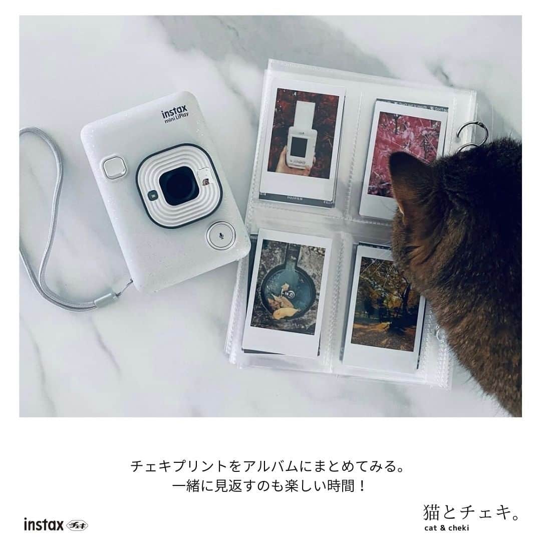 Fujifilm instaxさんのインスタグラム写真 - (Fujifilm instaxInstagram)「﻿ ﻿ 【愛猫との暮らしをチェキで残そう！】﻿ ﻿  今回は、「猫とチェキ」を撮影した素敵な投稿ピックアップしました♪﻿ ﻿ 猫の可愛い仕草や表情に癒されますよね☺️﻿ ﻿ #LiPlay や #SQ20 はモニターを見ながら撮影、お気に入りだけをプリントできるので、動きのある被写体でも、たくさん撮ってベストショットをプリントできます！﻿ ﻿ ぜひ皆さんも、愛猫をチェキで撮影して楽しんでくださいね🐱✨ ﻿ ﻿ Special Thanks🐾﻿ @mayuko_seasideclub﻿ @mooonaka_6226﻿ ﻿ ---------------- ﻿ チェキで撮影した写真に当アカウントのタグ付を行い、#チェキ  #instax を付けて投稿してください📷✨ ﻿ 素敵な写真は、本アカウントにてご紹介をさせて頂きます！﻿  あなたの#チェキ活用術 も募集中です🌟 ﻿ ---------------﻿ ﻿ #チェキ #instaxlife  #instax #instaxcamera #instaxminiliplay #instaxsquaresq20 #インスタックススクエア #チェキスクエア #cheki #FUJIFILM #富士フイルム #チェキのある生活 #マイチェキ #フィルムカメラのある生活 #フィルムカメラ #カメラ好きな人と繋がりたい #写真好き #猫のいる暮らし #猫のいる生活 #猫のいる風景 #猫との暮らし #猫と暮らす #猫と暮らす家﻿ ﻿ ﻿」12月9日 18時00分 - cheki_instax