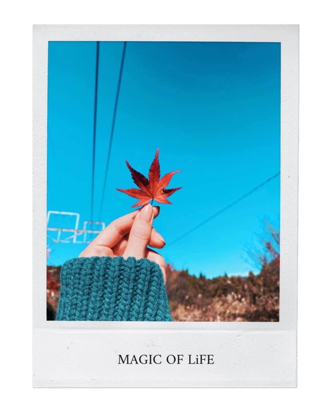 前田希美（まえのん）さんのインスタグラム写真 - (前田希美（まえのん）Instagram)「︎◾情報解禁◾  夢のようなプレゼントが 神様から届きました。  MAGIC OF LiFEさんの 新曲『記念日』の MVに 出演させて頂きました。  この『記念日』は私も大好きな曲で 12月16日にリリースされる アルバム「MAGIC」に収録されています。  本日、18時～YouTubeにて アップされていますので、 ぜひチェックしてください。  https://www.youtube.com/watch?v=zuVKClA-GgY  今の気持ち、 アメブロ、LINEblogにも 書かせていただきました。 是非読んでくださいね。  #magicoflife #記念日   @magicoflife_jp  @nobu_magic  @dirty1008  @magicoflife_yuji  @shotarowadrumwotataku」12月9日 18時00分 - maeda_nozomi