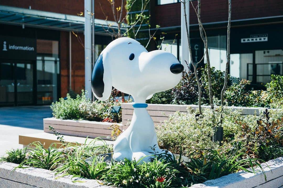 SNOOPY MUSEUM TOKYOのインスタグラム：「#snoopymuseumtokyo #schulzmuseum #snoopy #スヌーピーミュージアム #スヌーピー」