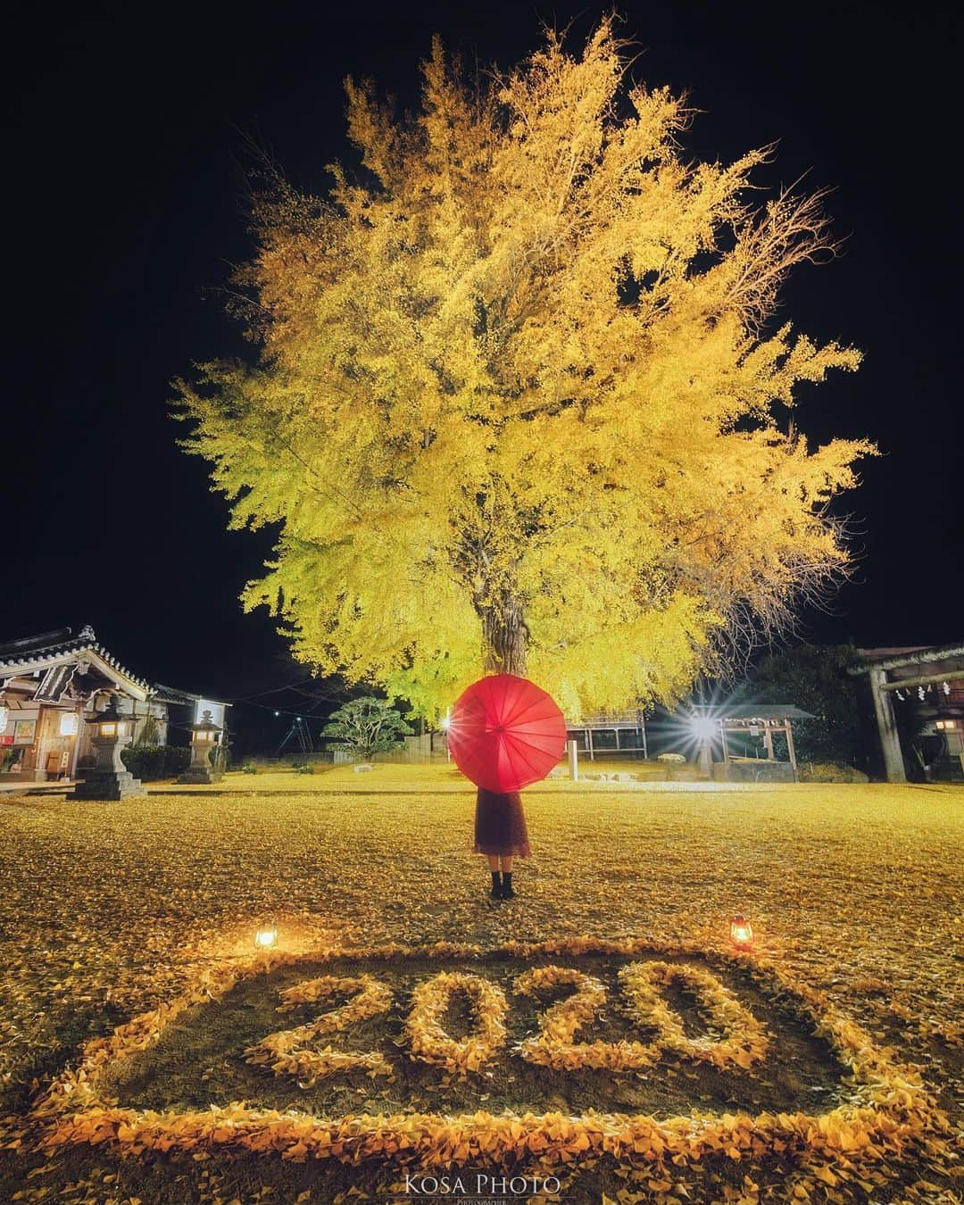 コサさんのインスタグラム写真 - (コサInstagram)「大好評だった丹生酒殿神社⛩ 今年もいっぱい撮らせて頂きました👍 現地でお会いした皆様、ありがとうございました🙏 . Location:和歌山 Wakayama / Japan🇯🇵 Date:2020年12月 . #丹生酒殿神社 #銀杏 #raytrekフォトコンテスト2020 #レイトレッククリエイター #jalan_kouyou2020 #楽天トラベル映えフォト #japan_night_view_member #Rox_Captures #LBJ_Legend #広がり同盟メンバー #art_of_japan_ #tokyocameraclub #dpj_member #team_jp_ #IG_PHOS #photo_jpn #ptk_japan #pt_life_ #bestjapanpics #Lovers_Nippon #light_nikon #sorakataphoto  #nipponpic_member #special_spot_legend #s_shot #japan_of_insta #bestphoto_japan #kf_gallery_vip #lbj_マイベストショット #rox_best2020」12月9日 18時48分 - kosa_photo